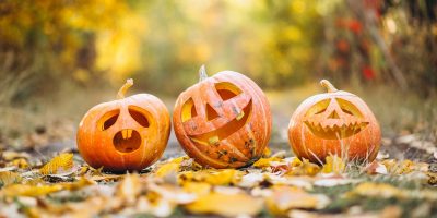 Parchi divertimento, zoo, fattorie: i posti più belli per festeggiare Halloween in famiglia quest'anno