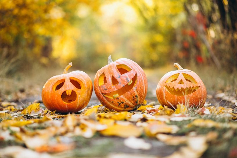 Parchi divertimento, zoo, fattorie: i posti più belli per festeggiare Halloween in famiglia quest'anno